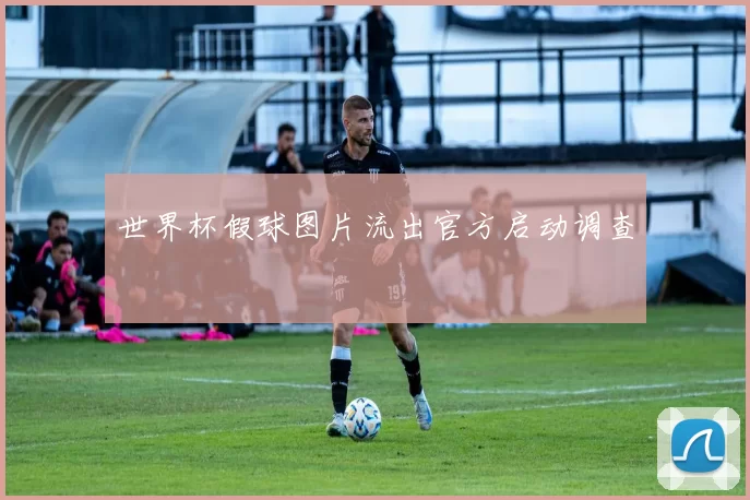 世界杯假球图片流出官方启动调查