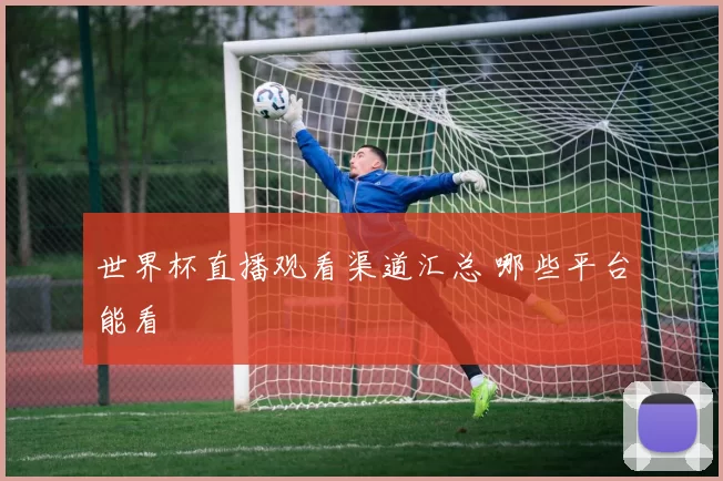 世界杯直播观看渠道汇总 哪些平台能看