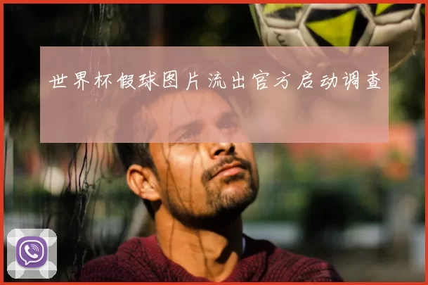 世界杯假球图片流出官方启动调查