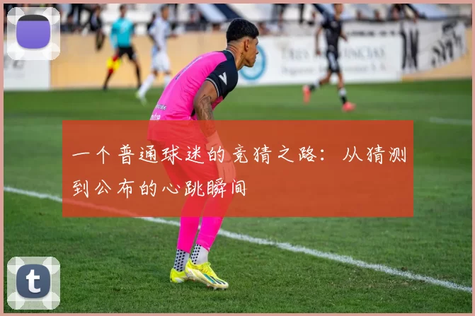 一个普通球迷的竞猜之路：从猜测到公布的心跳瞬间