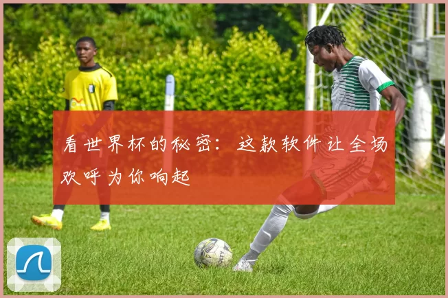 看世界杯的秘密:这款软件让全场欢呼为你响起