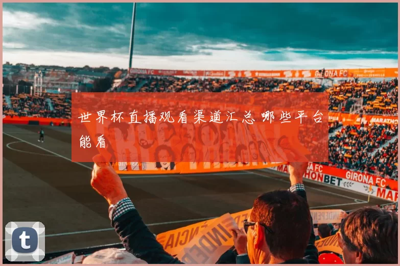 世界杯直播观看渠道汇总 哪些平台能看