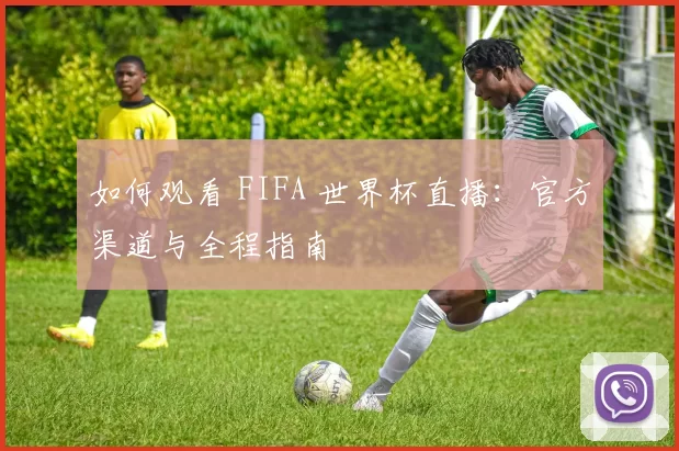 如何观看 FIFA 世界杯直播：官方渠道与全程指南