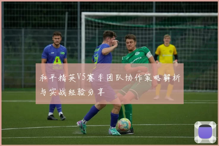 和平精英V5赛季团队协作策略解析与实战经验分享