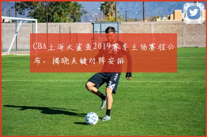 CBA上海大鲨鱼2019赛季主场赛程公布，揭晓关键对阵安排