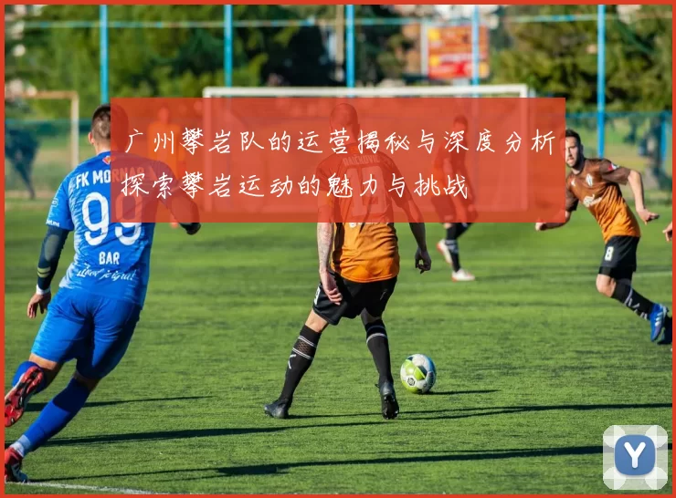 广州攀岩队的运营揭秘与深度分析探索攀岩运动的魅力与挑战