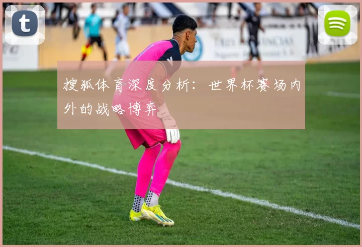 搜狐体育深度分析:世界杯赛场内外的战略博弈